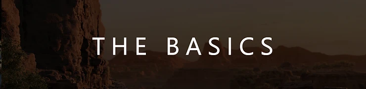 Title image: "The Basics"