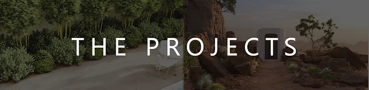 Title Image: "The Projects"