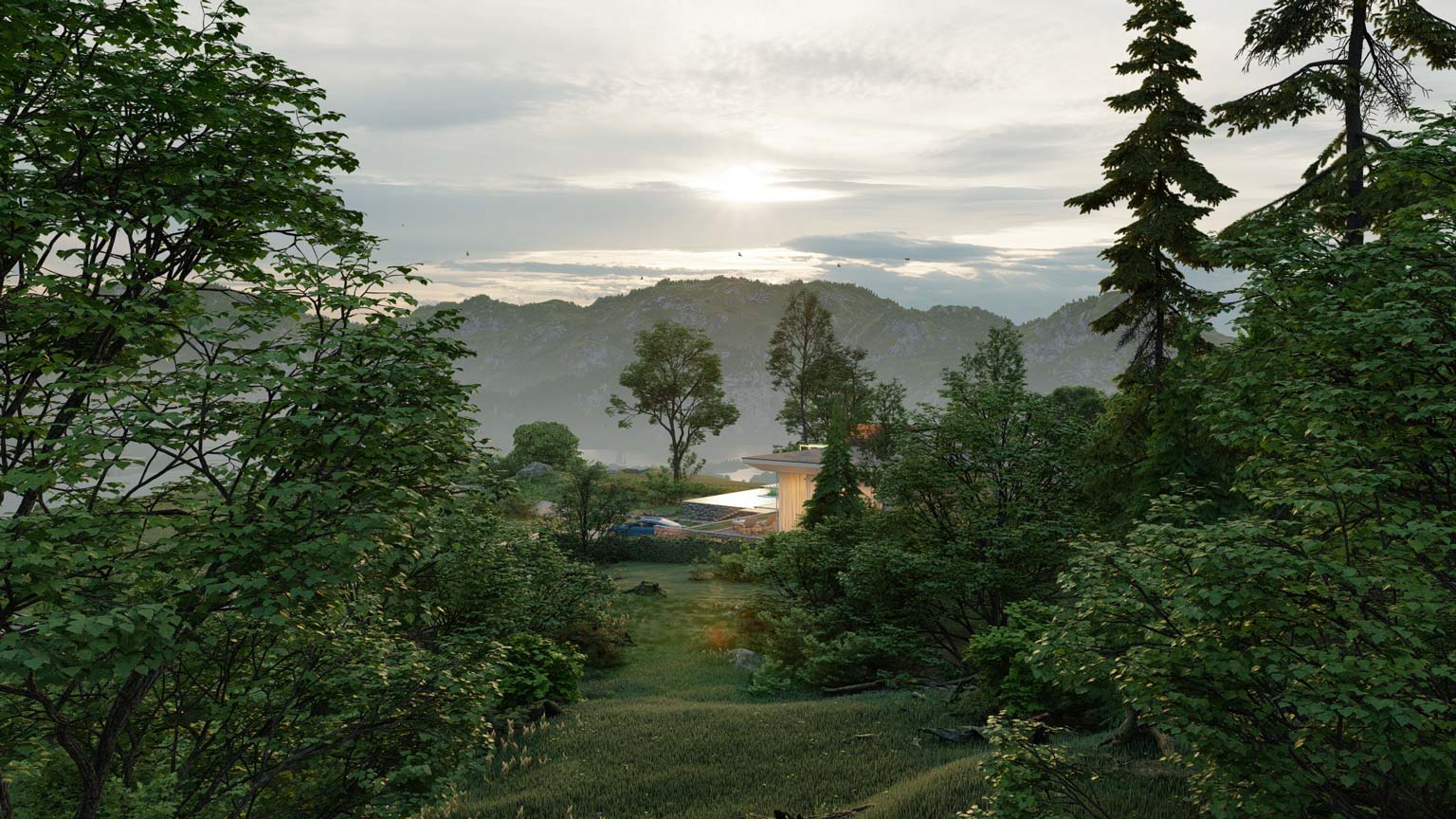 Forest scene with rendered trees and nature models, rendered in Lumion 10.
