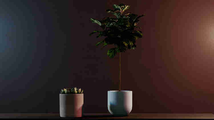 Rendering of Plants in Lumion 11.3. Image by The Lumion Collective